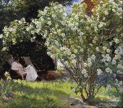 Peder Severin Kroyer, Roses Garden in Skagen (nn02)